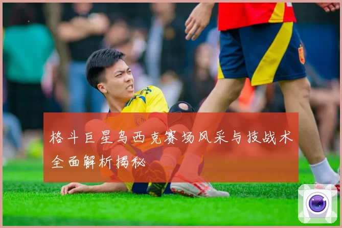 格斗巨星乌西克赛场风采与技战术全面解析揭秘