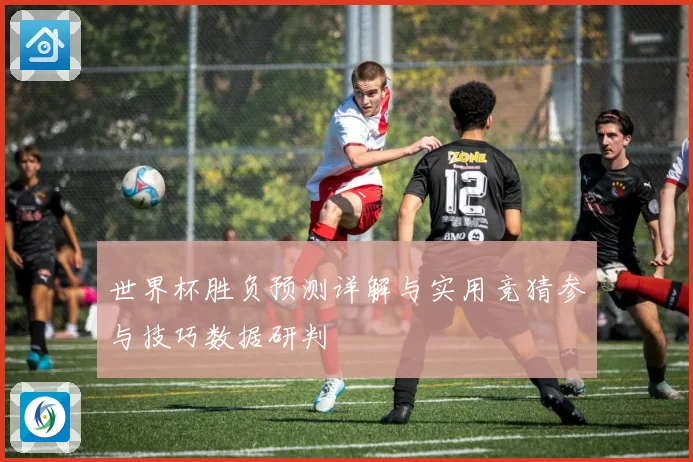 世界杯胜负预测详解与实用竞猜参与技巧数据研判