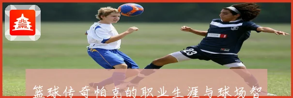 篮球传奇帕克的职业生涯与球场智慧赛场复盘