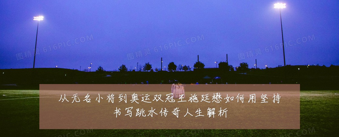 从无名小将到奥运双冠王施廷懋如何用坚持书写跳水传奇人生解析